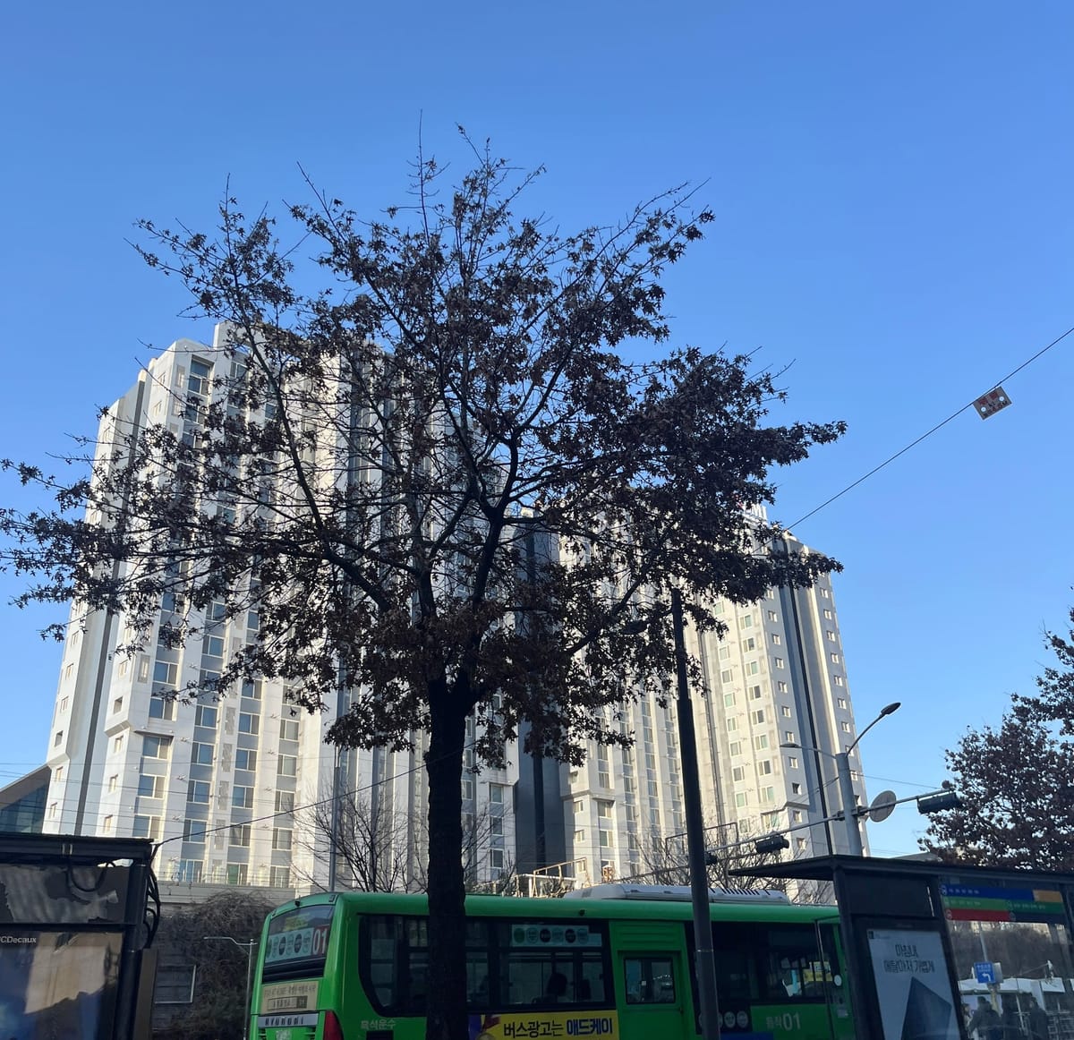 대방동 신한토탈 임장 후기